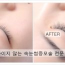 래쉬랩스 네이버블로그