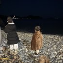 거제도더베이1804풀빌라펜션 | 아이들과 함께 한 [ 거제도 더베이 1804 풀빌라 애견 펜션 ] 내돈내산 솔직 후기