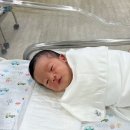 좋은날에 드라마 여성병원 제왕절개 수술후기 6박7일 입원!