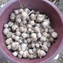 분토골농장 이미지