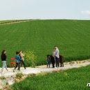 농업회사법인 연호㈜ 이미지