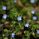 바우길 6구간 이미지