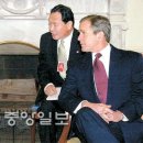 토요정담 이미지