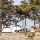 대천용두야영장 이미지