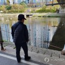 돌마교 아래 이미지