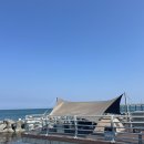 당사의 아침 | [울산캠핑장] 울산 당사현대차오션캠프 명당 8번 사이트 후기 - 스물두번째캠핑
