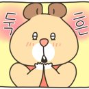 CCY 노래연습장 이미지