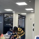 킴스동물병원 | 나의 두번째 국디서 활동후기