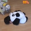 한뫼도서관 교양교실1 | 난아직만열일곱어린이인데