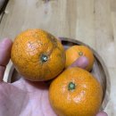 바산농장 이미지