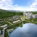 숲속에 아침 이미지