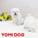 신내동-010 이미지