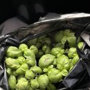 농사꾼농장 | 초보 농사꾼의 주말농장