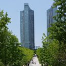 서울 서울숲 공원 vs 뉴욕 맨해튼 센트럴파크 위엄 이미지