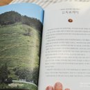 보성신옥로제다 이미지