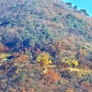 마하생태관광지 | 동방천하제1경 풍광을 자랑하는 운길산 '수종사' 역사기행