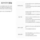 수목토일라이트 이미지