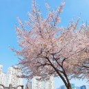 디저트39금천롯데