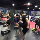 엘복싱 이미지