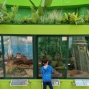 양서·파충류생태공원 1층 이미지