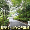대운산자연휴양림(양산) | 부산 근교 힐링 여행. 양산 대운산자연휴양림 주차부터 찐후기