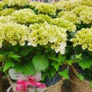 원복농장 이미지