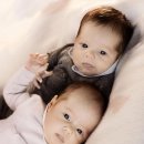 왕자와 공주 이미지