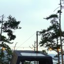 솔향기길야영장 이미지