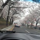 제이엘동물병원 이미지