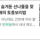 공작산편의점