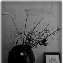 대인시장 이미지