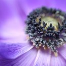 하늘마음한의원 이미지