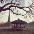 덕암천 이미지