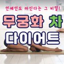 무궁화 추출물 다이어트 - 연예인도 마신다는 그 비밀!