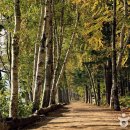 미즈베베 키즈풀빌라 이미지