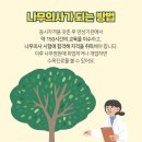 나무의사 자격증 시험정보, 응시자격, 활동분야, 진료수종까지 한눈에 알아보기