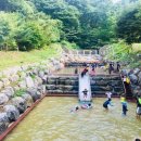 신정고기백화점 이미지