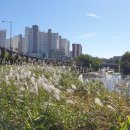 도심건강길 7길 이미지