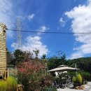 성두카센타 이미지