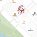 멍블리 수제간식 이미지