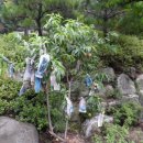 복숭아 펜션 이미지