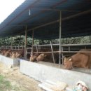 한우물농장 이미지