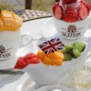 폭스우드 이미지