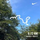 러닝 일기_남산 러닝 후기/러닝 용품(러닝화/러닝벨트/stl러닝용상의)/온러닝 러닝화/나이키 페가수스 40
