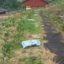 푸른솔 농장 이미지