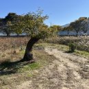 한가람농장 이미지