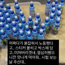 선화매점