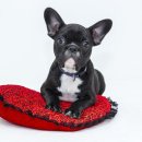 사림민원센터 네이버블로그