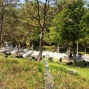 (주)지성코퍼레이션 이미지