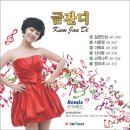 금잔디 - 사랑껌 (Remix) - 작품과의 비교 이미지